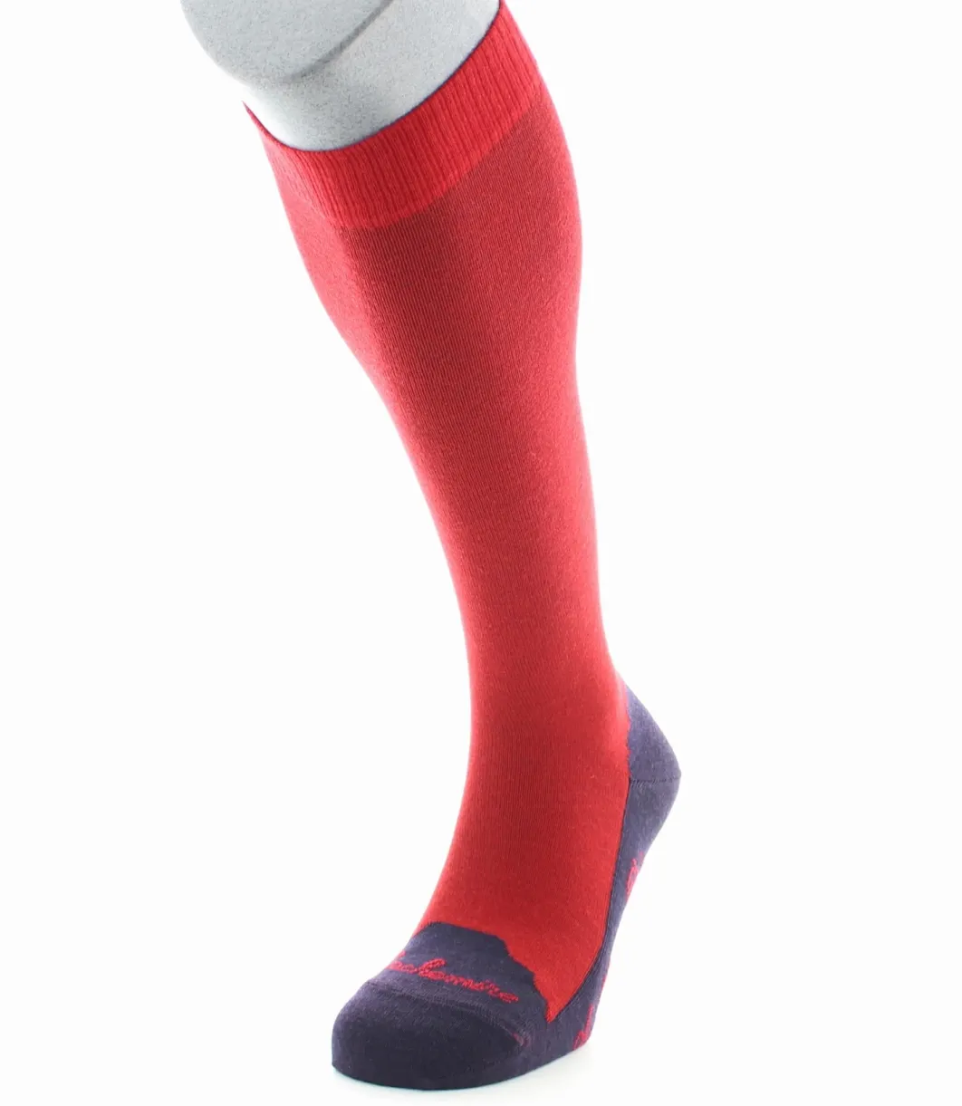 Online Berthe Aux Grands Pieds Chaussettes hautes cachemire vulcain